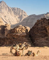 Virtuoso Life: Sept | Oct 2017