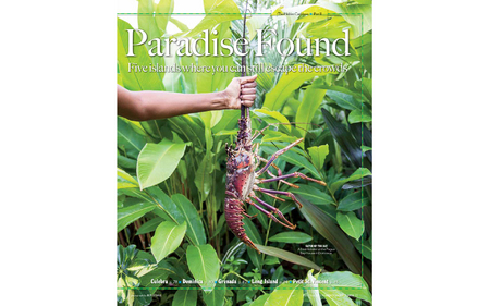 Garden & Gun : : Feb|Mar 2015